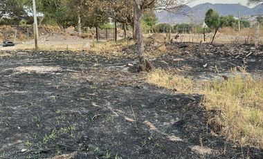 Terreno en Renta en Camino Real a Colima