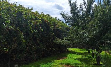 Quinta Campestre en Venta, en colonia Valle de Mimbre, Ramos Arizpe, Coahuila