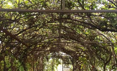 Quinta Campestre en Venta, en colonia Valle de Mimbre, Ramos Arizpe, Coahuila