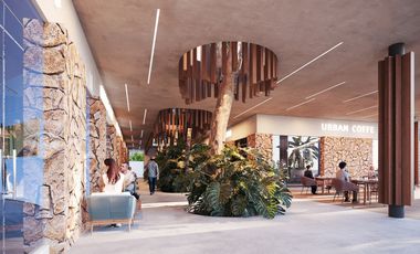 LOCAL EN VENTA MERIDA, PLAYA CHELEM, PUERTO LINDO, PUERTO CAREY, DICIEMBRE 2025