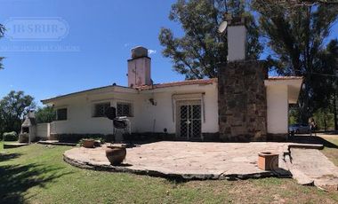 Quinta - Santa Isabel