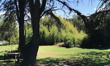 Quinta - Santa Isabel