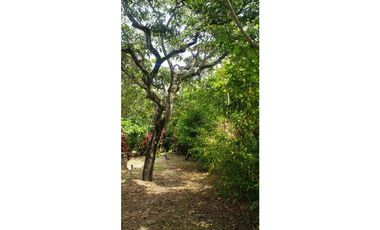 SIEB 215 CASA LOTE VENTA - LA MESA