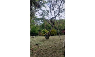 SIEB 215 CASA LOTE VENTA - LA MESA