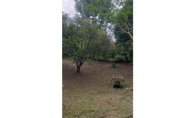 SIEB 215 CASA LOTE VENTA - LA MESA