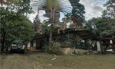 SIEB 215 CASA LOTE VENTA - LA MESA