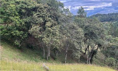 Venta de Lote en Alto del Escobero Unidad Cerrada Cerca de Colegios