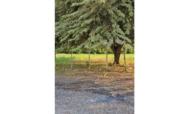 CORONADO / PLAYA SERENA / 1412M / TOTALMENTE PLANO / EN ESQUINA