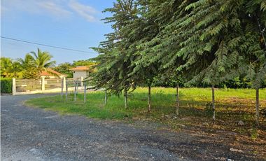 CORONADO / PLAYA SERENA / 1412M / TOTALMENTE PLANO / EN ESQUINA