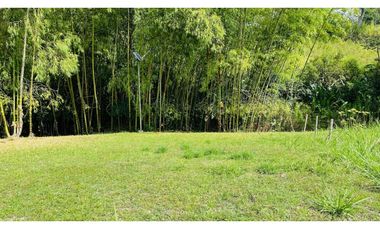 VENTA DE ESPECTACULAR LOTE CAMPESTRE SECTOR CERRITOS-VIRGINIA