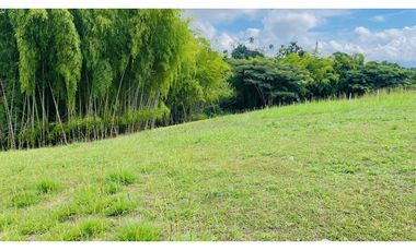 VENTA DE ESPECTACULAR LOTE CAMPESTRE SECTOR CERRITOS-VIRGINIA