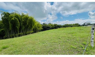 VENTA DE ESPECTACULAR LOTE CAMPESTRE SECTOR CERRITOS-VIRGINIA