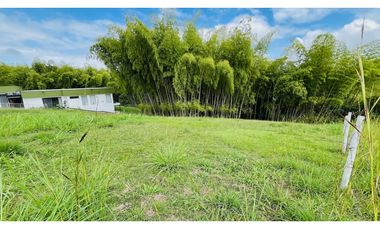 VENTA DE ESPECTACULAR LOTE CAMPESTRE SECTOR CERRITOS-VIRGINIA