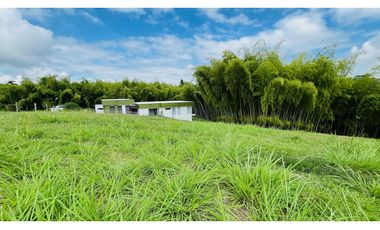 VENTA DE ESPECTACULAR LOTE CAMPESTRE SECTOR CERRITOS-VIRGINIA