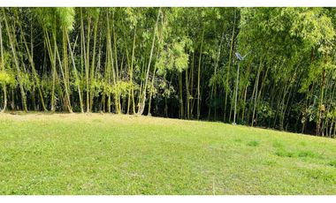 VENTA DE ESPECTACULAR LOTE CAMPESTRE SECTOR CERRITOS-VIRGINIA