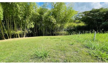 VENTA DE ESPECTACULAR LOTE CAMPESTRE SECTOR CERRITOS-VIRGINIA