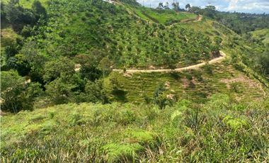 VENTA DE FINCA EN LEBRIJA SANTANDER COD:1083