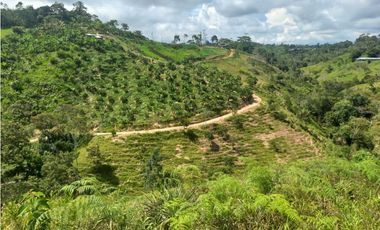 VENTA DE FINCA EN LEBRIJA SANTANDER COD:1083