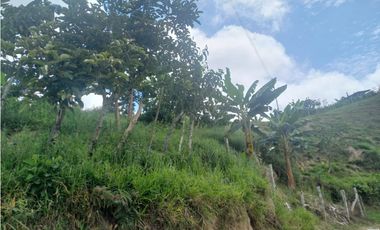 VENTA DE FINCA EN LEBRIJA SANTANDER COD:1083