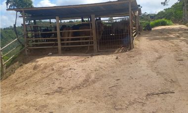 VENTA DE FINCA EN LEBRIJA SANTANDER COD:1083