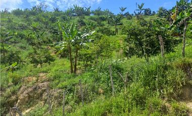 VENTA DE FINCA EN LEBRIJA SANTANDER COD:1083