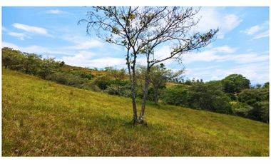 LOTE EN VENTA EN SAN JERÓNIMO, LOMA HERMOSA