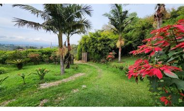 VENTA DE FINCA EN EL CARMEN DE VIBORAL VEREDA LA CHAPA