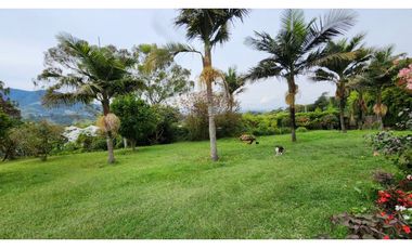 VENTA DE FINCA EN EL CARMEN DE VIBORAL VEREDA LA CHAPA