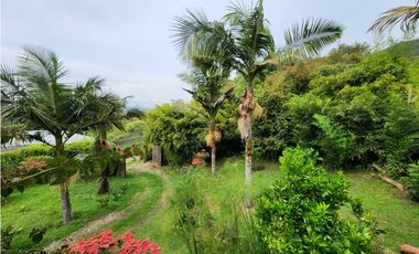 VENTA DE FINCA EN EL CARMEN DE VIBORAL VEREDA LA CHAPA