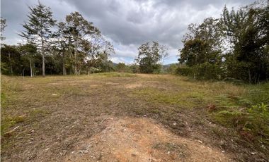 VENTA DE LOTE EN EL RETIRO EN UNIDAD CERRADA SECTOR PANTANILLO