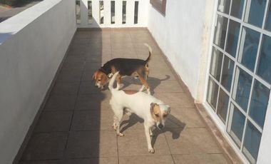 Casa - Fraccionamiento Villas Náutico