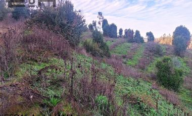 Venta lotes sector semi urbano cercano a Chaimávida