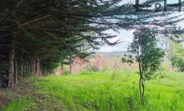 OFERTA - Venta lotes sector semi urbano cercano a Chaimávida