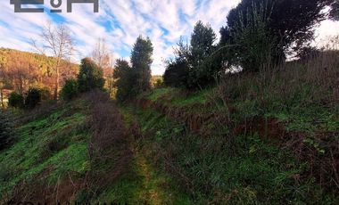 Venta lotes sector semi urbano cercano a Chaimávida