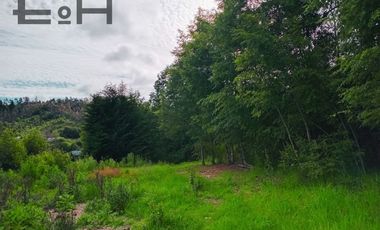 OFERTA - Venta lotes sector semi urbano cercano a Chaimávida