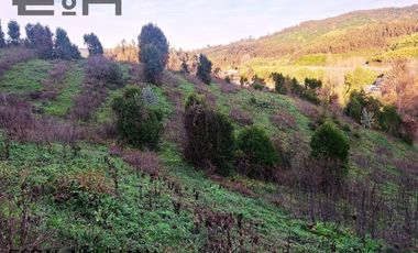 Venta lotes sector semi urbano cercano a Chaimávida