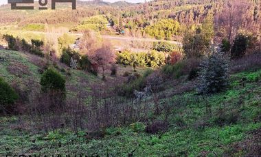 Venta lotes sector semi urbano cercano a Chaimávida