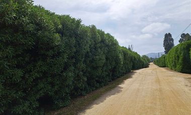 Casa en Venta en LT 9 PC 1 BARACALDO