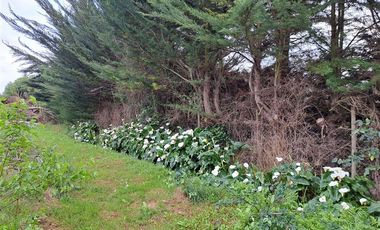 Parcela en Venta en LT 9 PC 1 BARACALDO