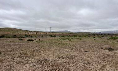 Sitio en Venta en Ex estancia Délano, Ruta 5 KM 700, Vallenar, Atacama
