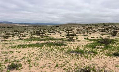 Sitio en Venta en Ex estancia Délano, Ruta 5 KM 700, Vallenar, Atacama