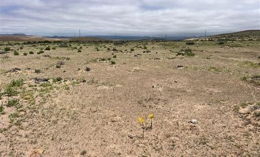 Sitio en Venta en Ex estancia Délano, Ruta 5 KM 700, Vallenar, Atacama