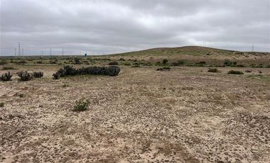 Sitio en Venta en Ex estancia Délano, Ruta 5 KM 700, Vallenar, Atacama
