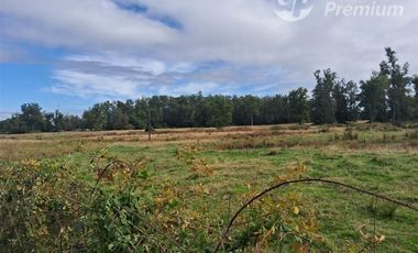 Agrícola en Venta en Tacamo