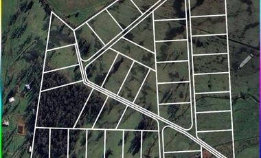 Agrícola en Venta en Tacamo