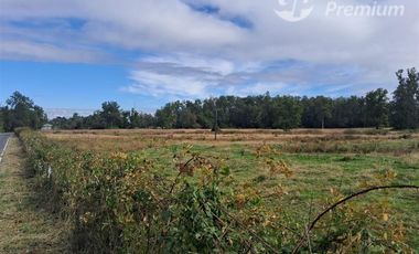 Agrícola en Venta en Tacamo