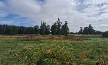 Agrícola en Venta en Tacamo