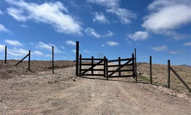 Agrícola en Venta en Ex estancia Délano, Ruta 5 KM 700, Vallenar, Atacama