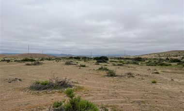 Agrícola en Venta en Ex estancia Délano, Ruta 5 KM 700, Vallenar, Atacama
