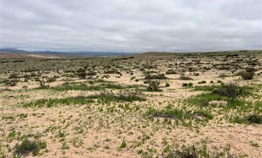 Agrícola en Venta en Ex estancia Délano, Ruta 5 KM 700, Vallenar, Atacama